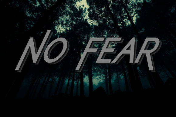 No Fear Font for Business Branding